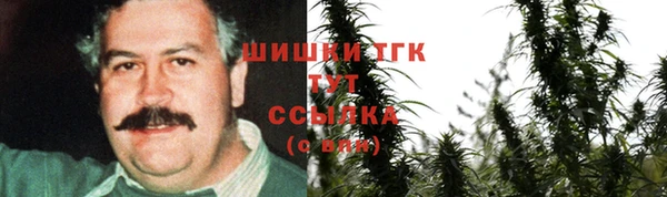 ГАЛЛЮЦИНОГЕННЫЕ ГРИБЫ Арсеньев