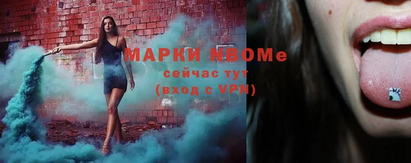 ГАЛЛЮЦИНОГЕННЫЕ ГРИБЫ Арсеньев