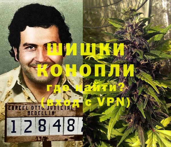 ГАЛЛЮЦИНОГЕННЫЕ ГРИБЫ Арсеньев
