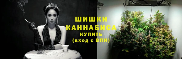 ГАЛЛЮЦИНОГЕННЫЕ ГРИБЫ Арсеньев