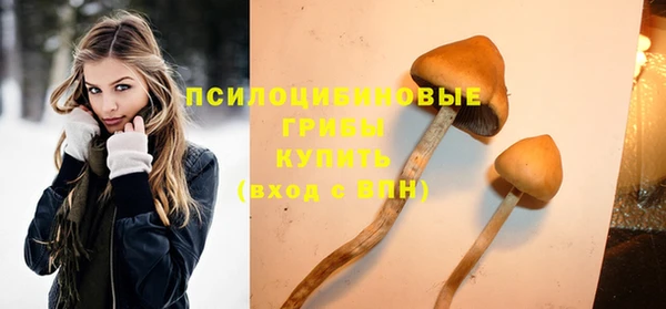 не бодяженный Армянск