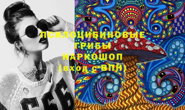 ГАЛЛЮЦИНОГЕННЫЕ ГРИБЫ Арсеньев