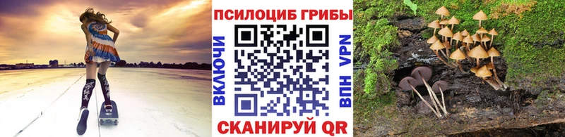 где купить наркотик  Приволжск  Псилоцибиновые грибы прущие грибы 